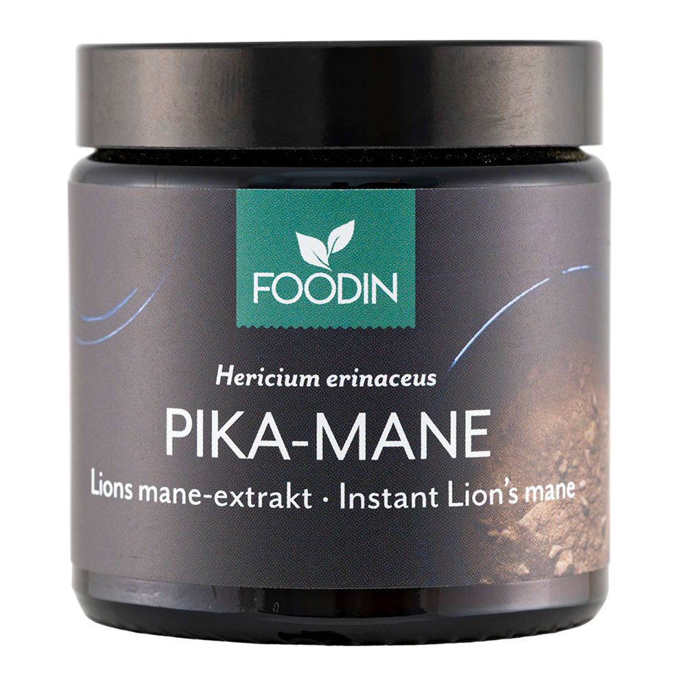 A dark jar labeled Foodin Instant Lion's Mane, a product by Foodin, featuring Hericium erinaceus extract rich in beneficial polysaccharides and designed for instant use.