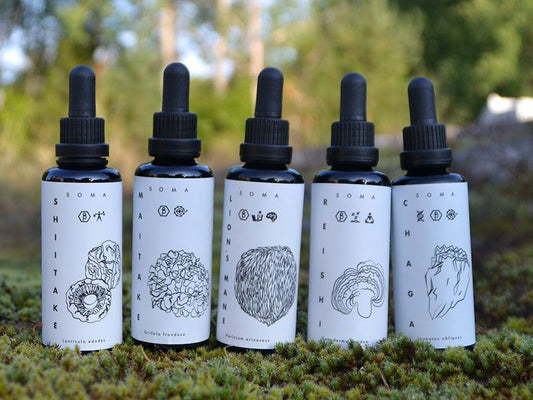 Kääpä Health mushroom extracts