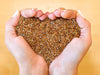 The Power of Flaxseeds: Health Benefits and How to Use Them