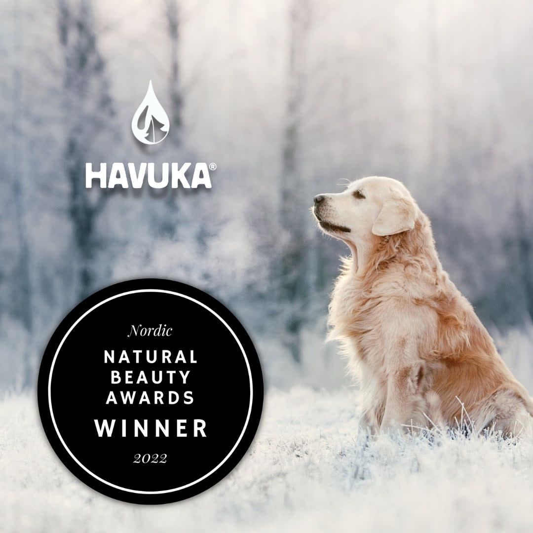 A golden retriever sits on frosty grass with a snowy Finnish backdrop. The Havuka logo appears above the Havuka Spruce Resin Balm for Animals, alongside a black badge: Nordic Natural Beauty Awards Winner 2022.
