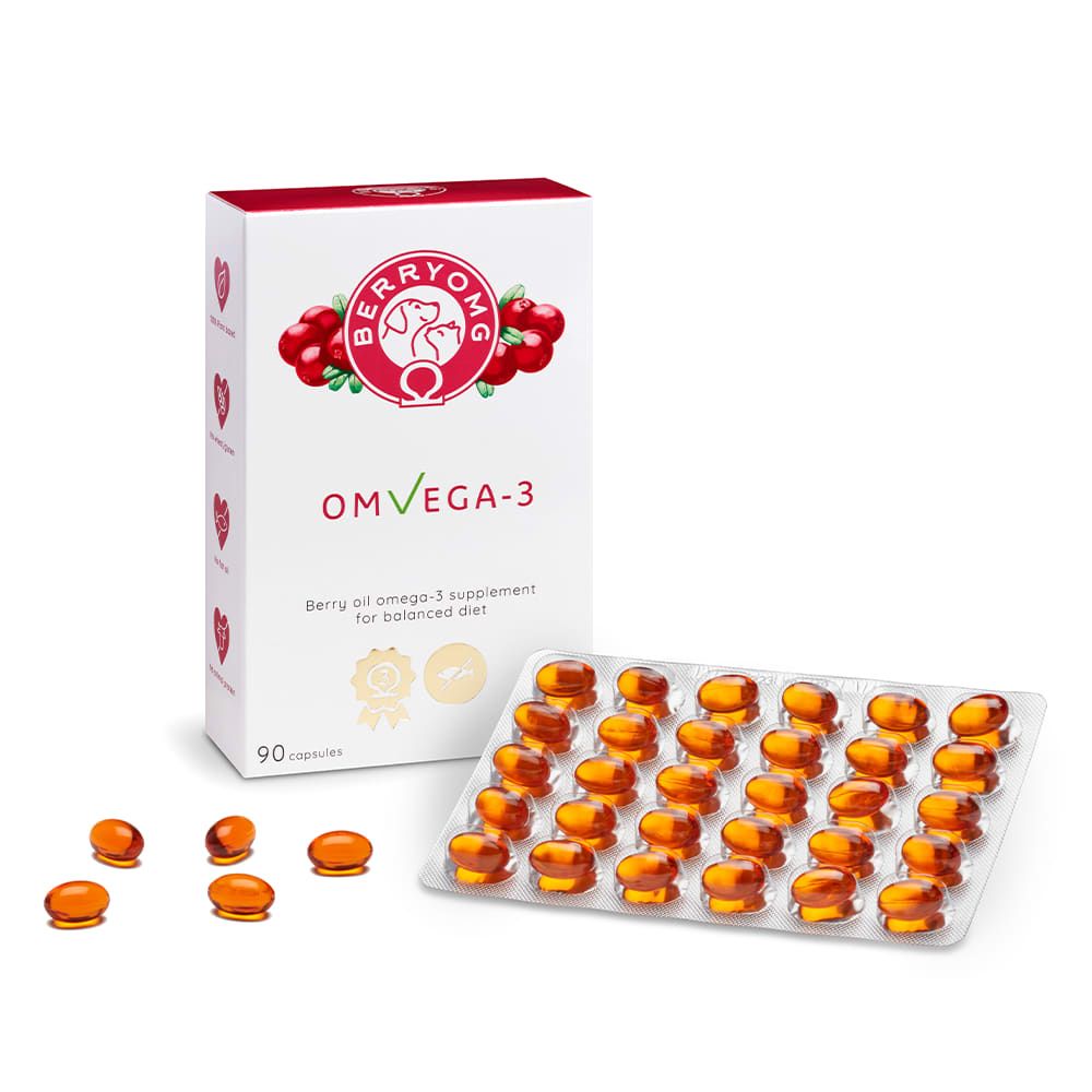 A box of Berry OMG OMvEGA-3 by Berry OMG stands next to a blister pack of 35 orange capsules. The packaging displays berries, Omega-3 icons, highlights lingonberry seed oil, and notes there are 90 capsules inside.
