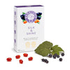 A box of Berry OMG Silk & Shine by Berry OMG sits beside blackcurrants, leaves, and red capsules. This berry oil supplement provides omega fatty acids to support your pet’s healthy skin and coat and includes 90 capsules per box.