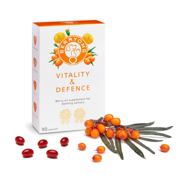 A box of Berry OMG Vitality & Defence by Berry OMG is shown beside sea buckthorn berries and leaves, emphasizing its antioxidant content. Ninety red capsules are in each box, with several capsules scattered in front.