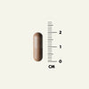 A DENSE Beef Testicles capsule by DENSE, known for supporting natural testosterone and male vitality, is shown upright beside a centimeter ruler, measuring just under 2 cm. The background is plain and light-colored.