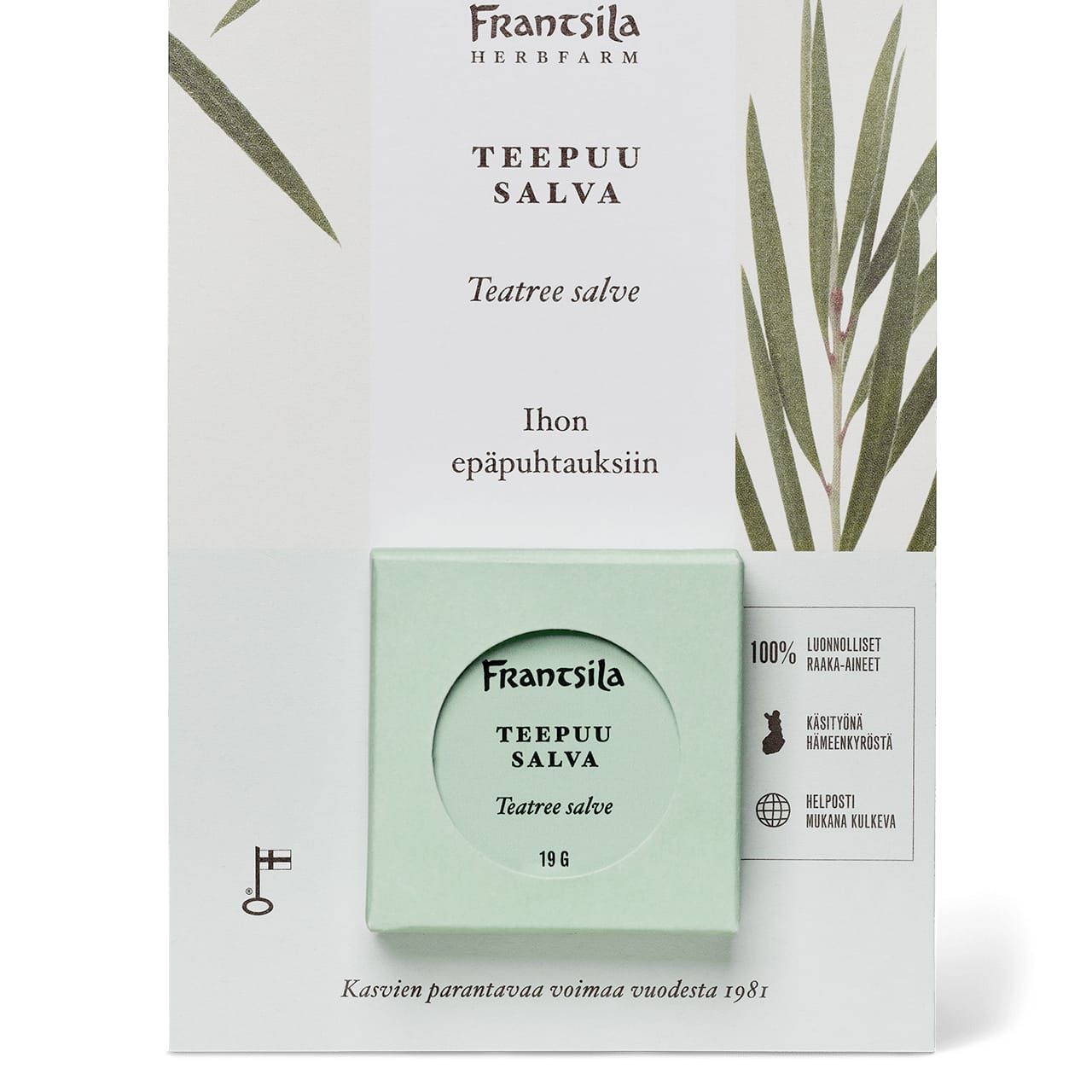 A package of Frantsila Tea Tree Salve, a natural antimicrobial skincare product by Frantsila, sits in a light green box with black text and botanical illustrations, claiming to help with skin impurities.