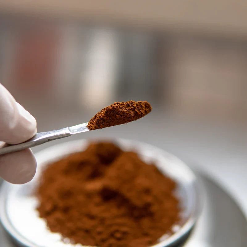 KÄÄPÄ Mushrooms Organic Chaga Extract Powder – product image 4