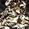 A pile of Kaavi Porcini Dried Porcini mushrooms, with brown edges and subtle greenish hues, rests on a metal surface.