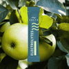 SALTE Electrolytes Apple by SALTE, a green apple-flavored keto electrolyte powder, is pictured in front of fresh green apples and tree leaves.