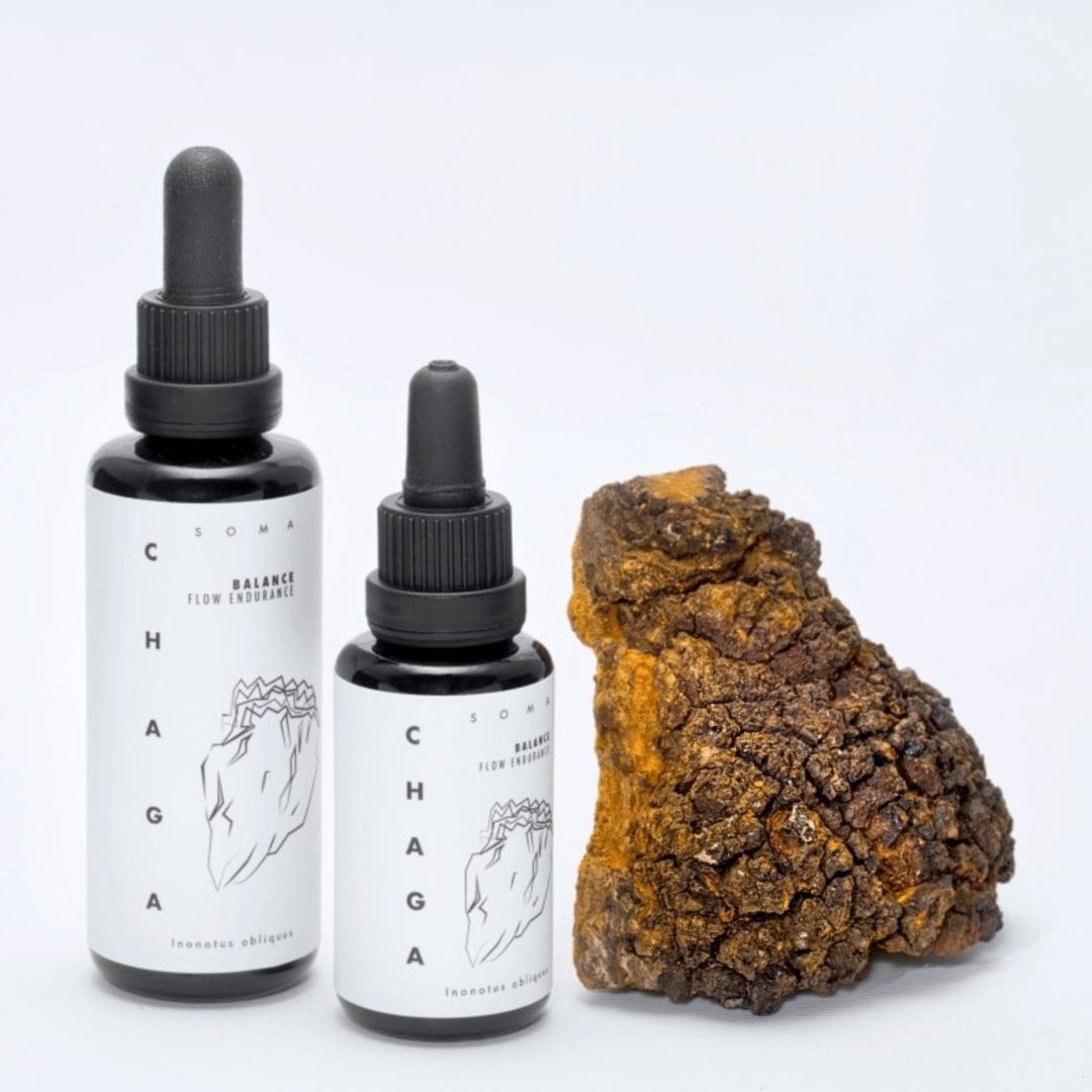 Two minimalist dropper bottles of KÄÄPÄ Mushrooms Organic Chaga Extract by KÄÄPÄ Mushrooms stand next to a chunk of raw Finnish chaga mushroom on a plain white background.