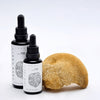 Two black dropper bottles of KÄÄPÄ Mushrooms Organic Lion's Mane Extract are displayed beside a fresh Lion's Mane mushroom on a white surface, highlighting this KÄÄPÄ Mushrooms brain-supporting extract.