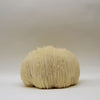 A bottle of KÄÄPÄ Mushrooms Organic Lion's Mane Extract from KÄÄPÄ Mushrooms is displayed against a plain, light background—renowned for its potential brain health benefits.