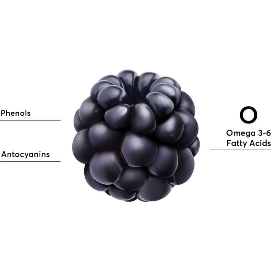 A close-up of a single blackberry with labels—“Phenols,” “Antocyanins,” and “Omega 3-6 Fatty Acids”—highlights the nutrients in Mossa Youth Defence Restoring Eye Cream by Mossa, shown on a white background.