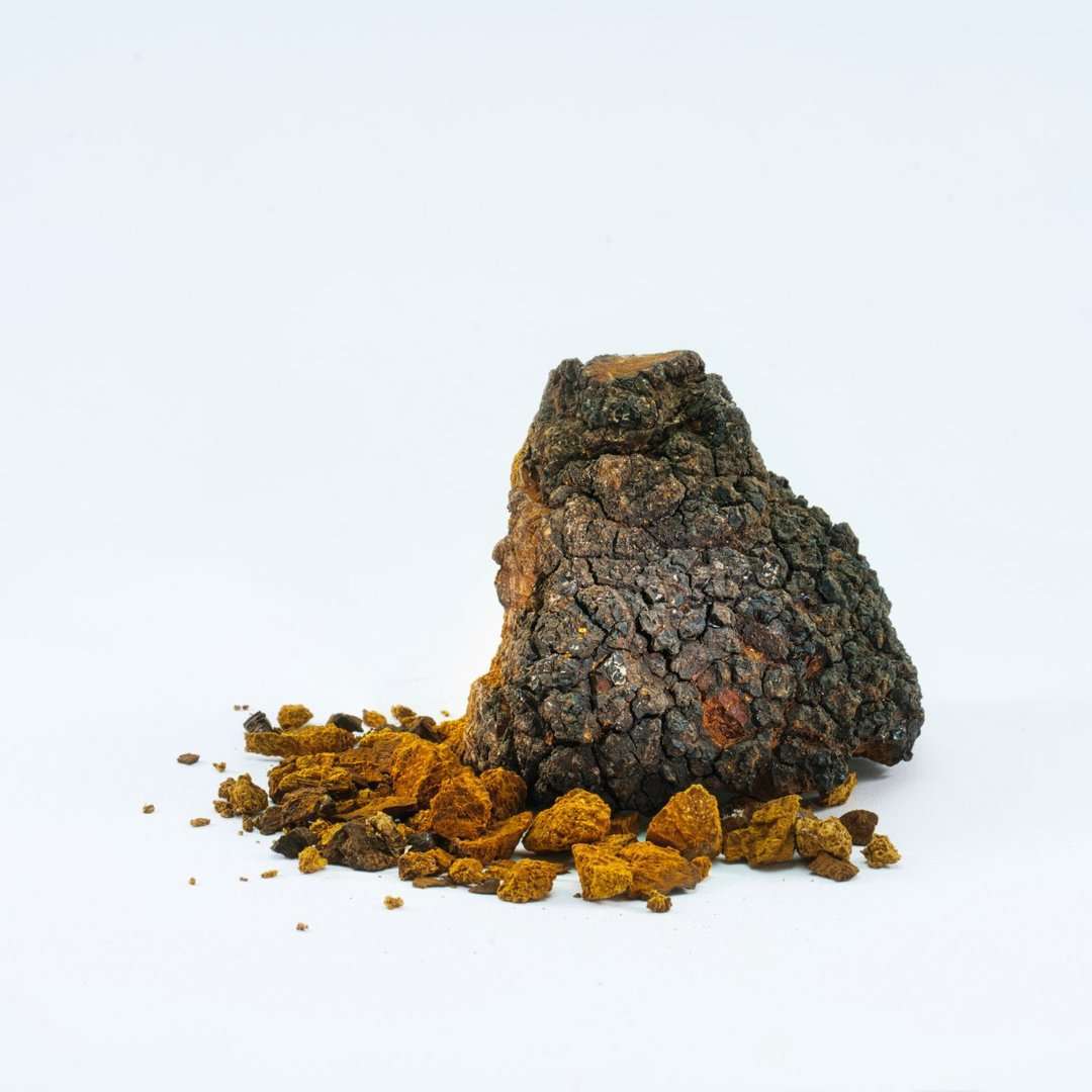 KÄÄPÄ Mushrooms Organic Chaga Extract by KÄÄPÄ Mushrooms is shown on a white background, featuring a chunk of Finnish chaga mushroom with small broken pieces scattered around.