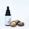 A dropper bottle labeled KÄÄPÄ Mushrooms Organic Shiitake Extract stands by dried shiitake mushrooms on a white background. The bottle features a black cap and illustrated label, emphasizing immune-supporting shiitake extract from KÄÄPÄ Mushrooms.