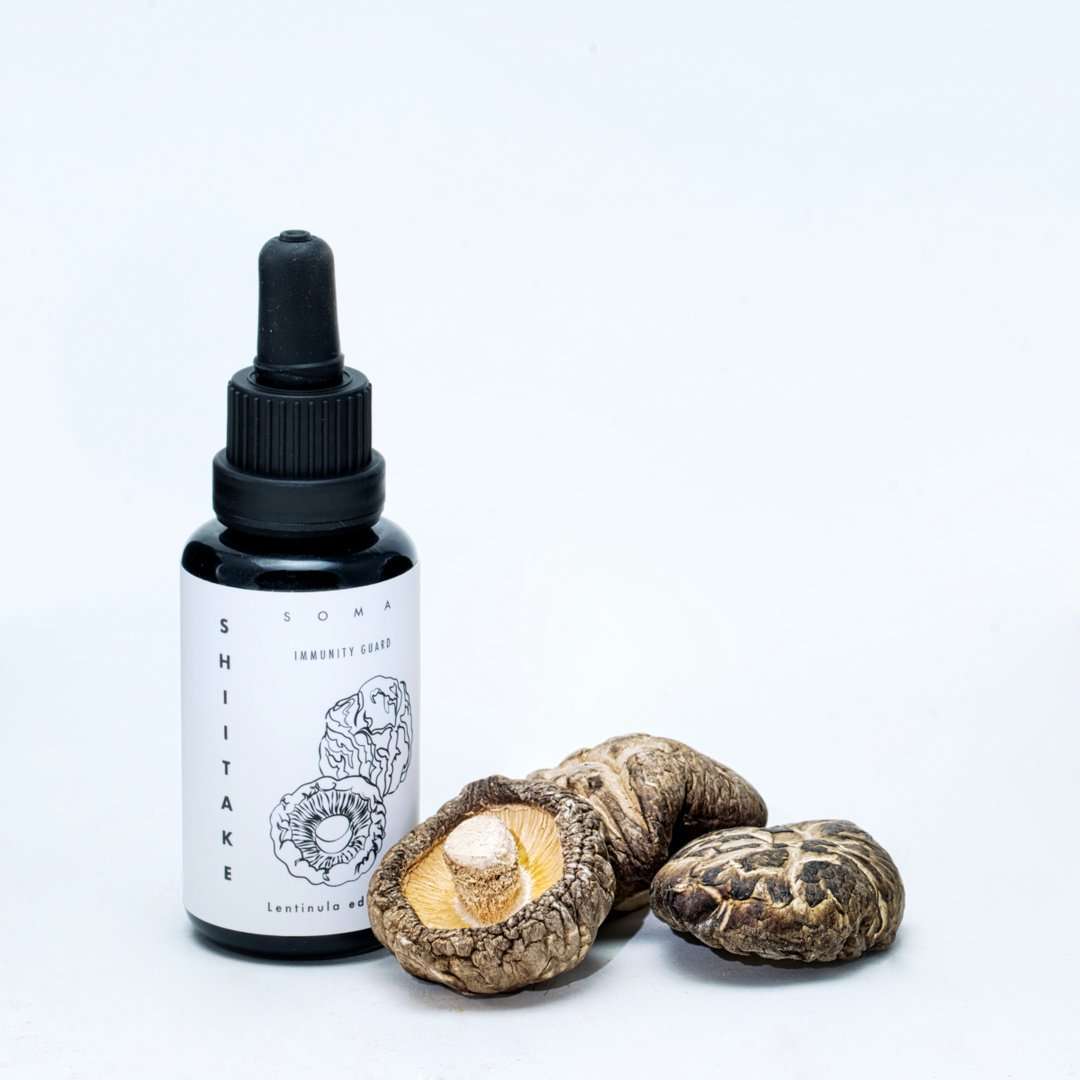 A dropper bottle labeled KÄÄPÄ Mushrooms Organic Shiitake Extract stands by dried shiitake mushrooms on a white background. The bottle features a black cap and illustrated label, emphasizing immune-supporting shiitake extract from KÄÄPÄ Mushrooms.