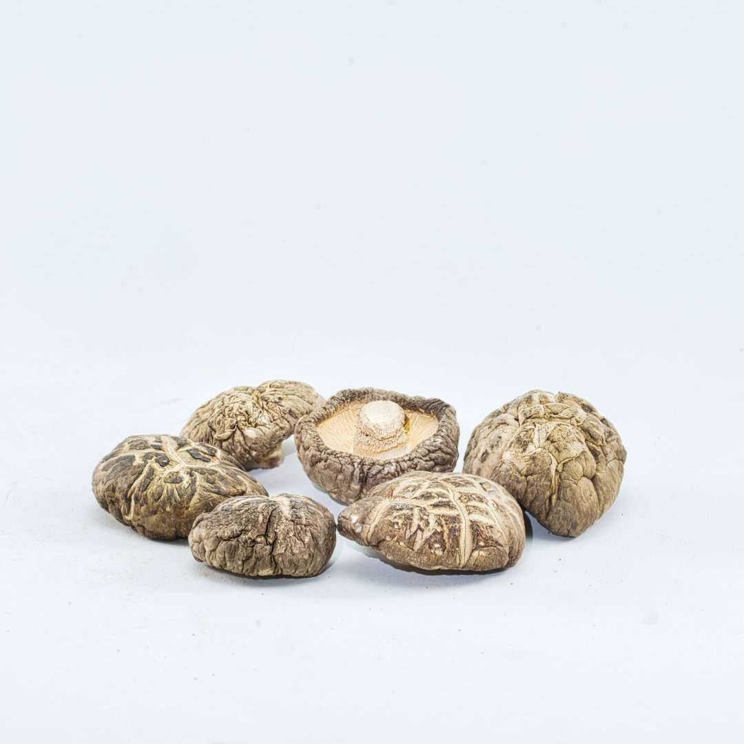 Six organic shiitake mushrooms from KÄÄPÄ Mushrooms are displayed on a white surface, with one flipped to reveal its gills—highlighting the natural form behind KÄÄPÄ Mushrooms Organic Shiitake Extract, known for supporting immune health.